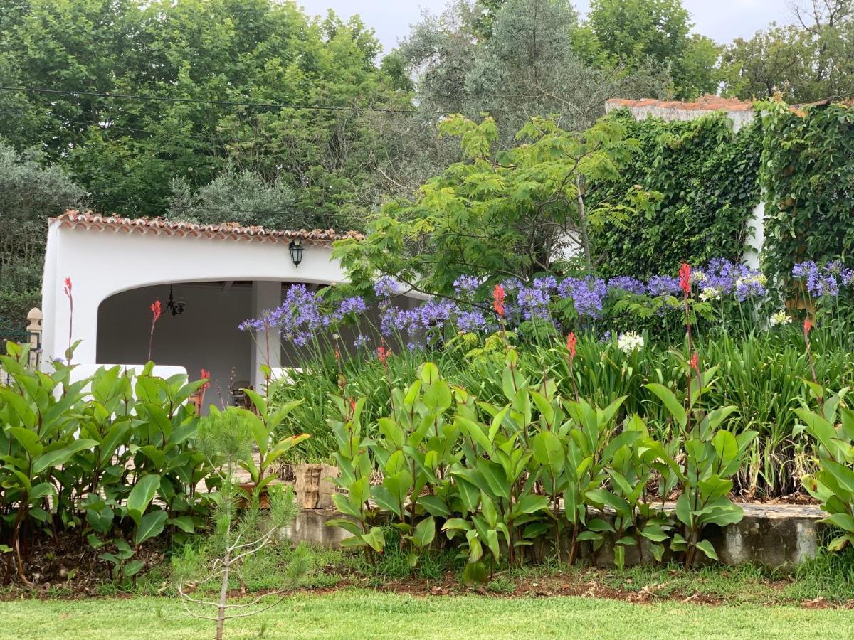 شقة Quinta Dos Girassois Fz Ferreira do Zêzere المظهر الخارجي الصورة